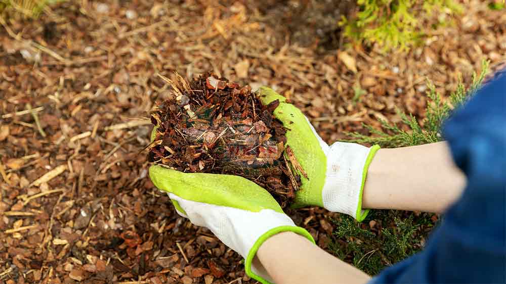 مالچ را اضافه کنید