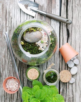 ساخت تراریوم