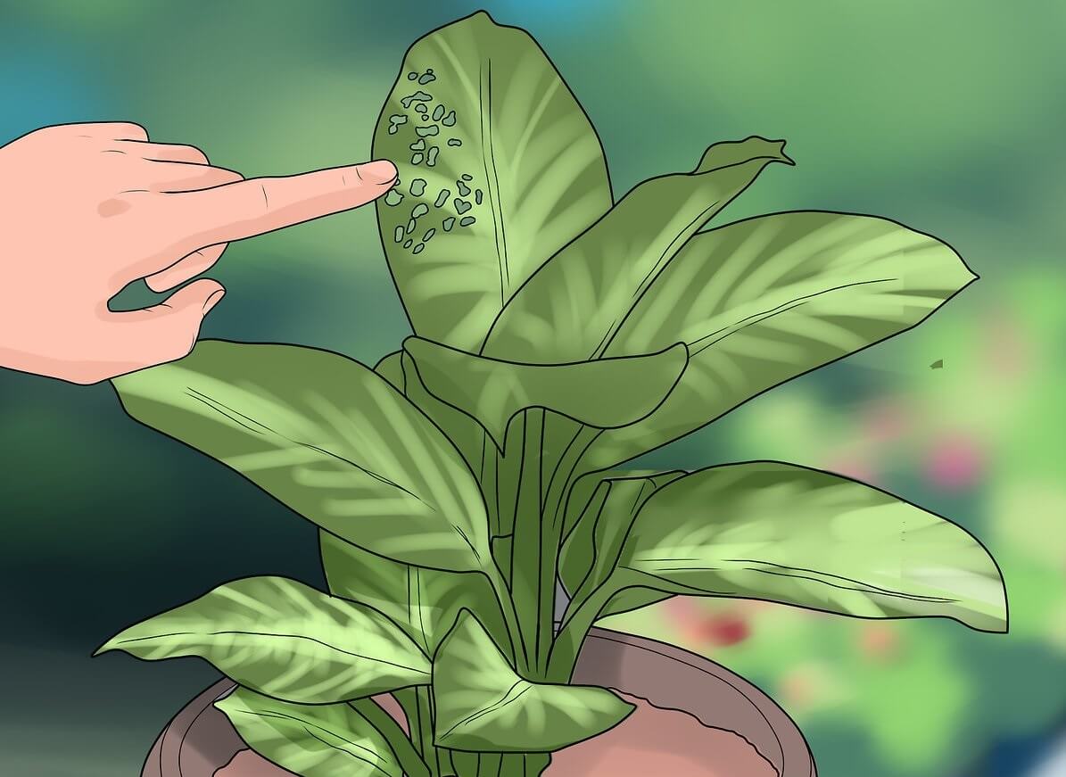 سوراخ هارا بررسی کنید