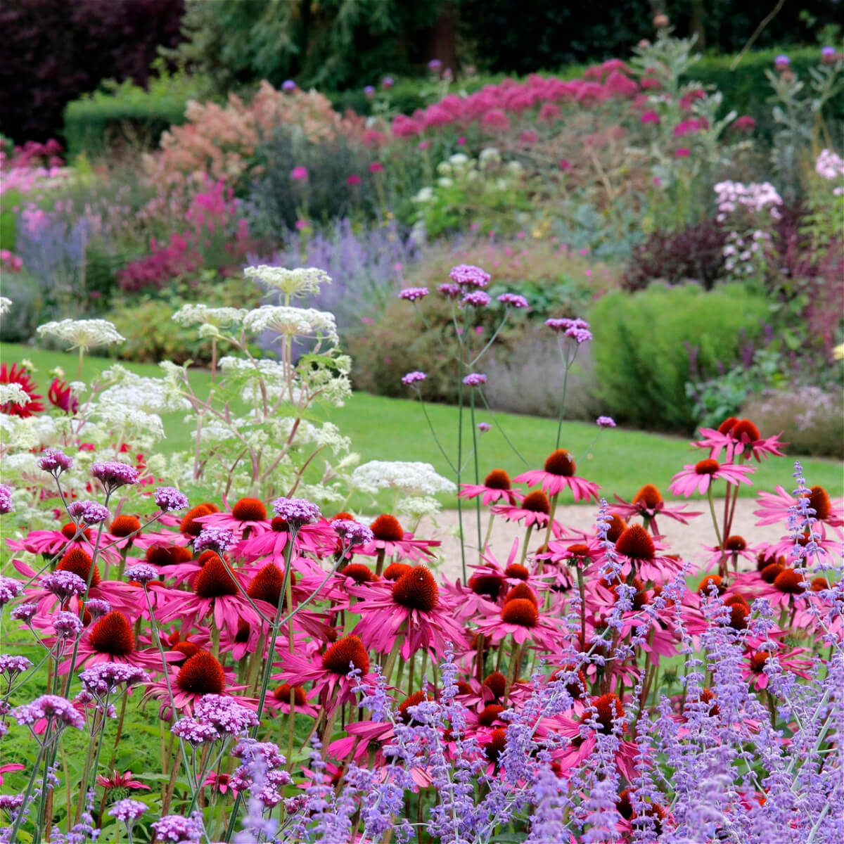 نگهداری از گل های خود