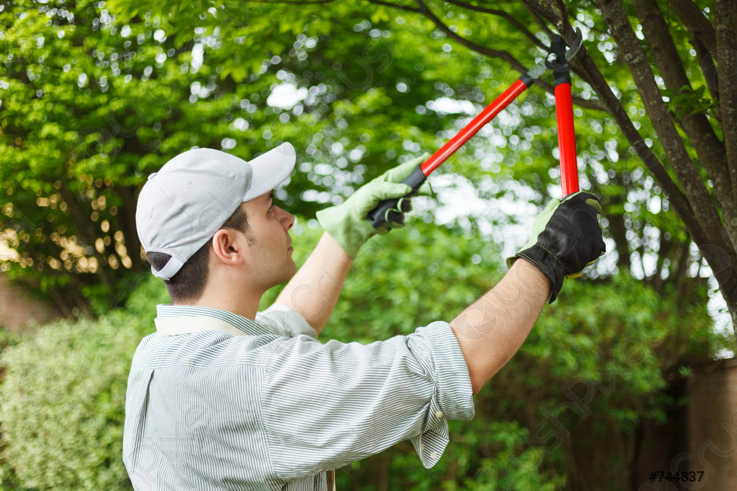 اعزام باغبان به محل