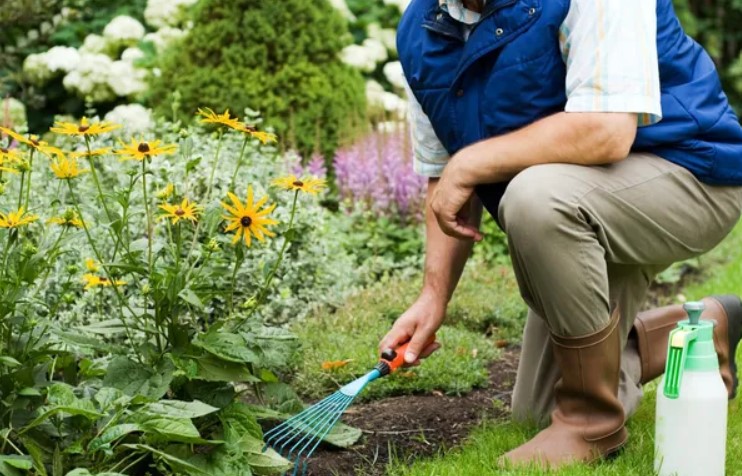 باغبان پاره وقت و تمام وقت