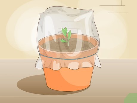 استفاده از کیسه پلاستیکی