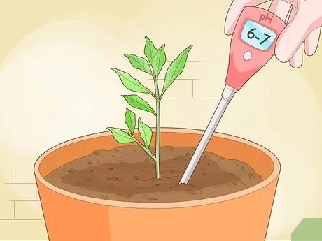 تنظیم PH خاک