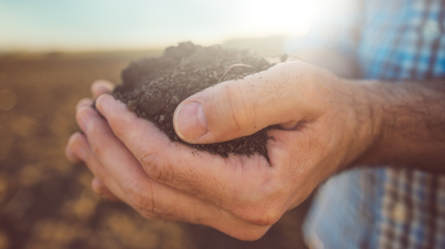 انتخاب وزن خاک