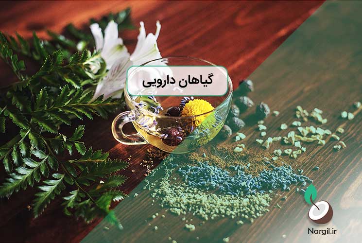 گیاهان دارویی