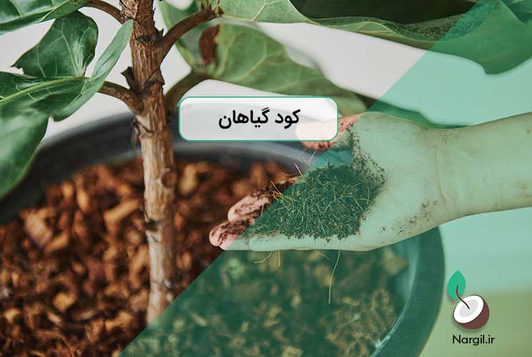 کود گیاهان