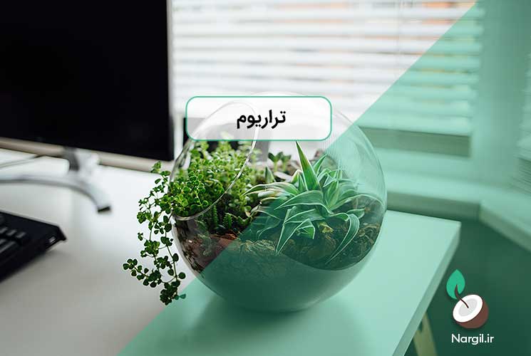 تراریوم