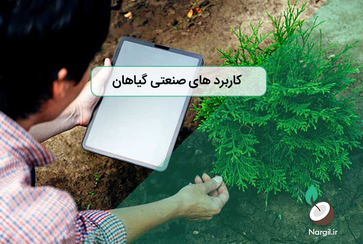 کاربرد های صنعتی گیاهان