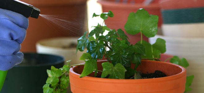 اصول صحیح غبارپاشی گیاهان
