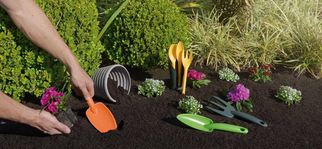 چگونه گل های گلدانی را در فضای باز بکاریم؟