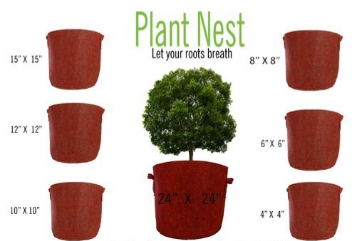 آشنایی با سایز گلدان ها - فوت و فن های باغبانی