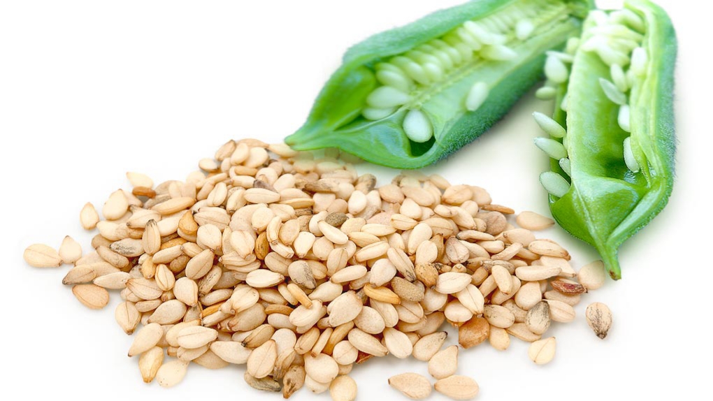 پرورش گیاه کند از طریق بذر - فوت و فن های باغبانی