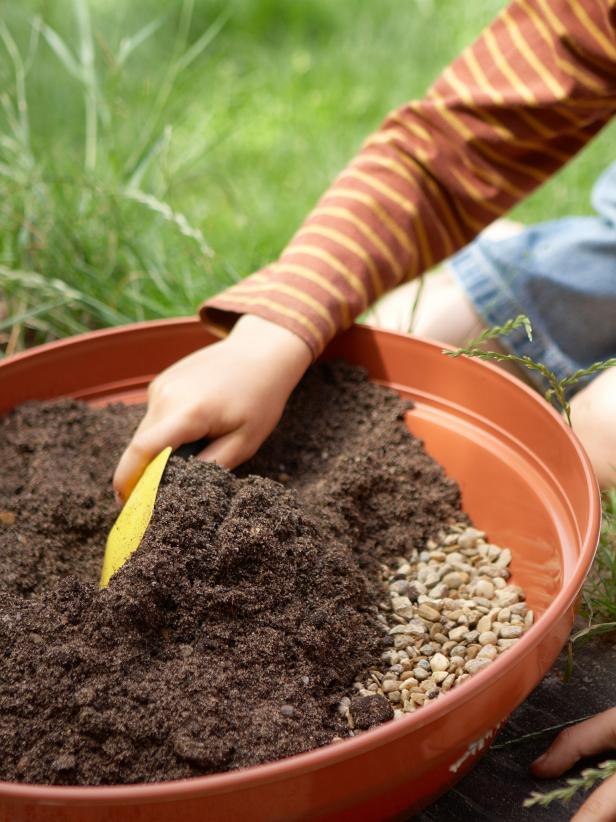 کاشت مجتمع کاکتوس ها و گیاهان گوشتی