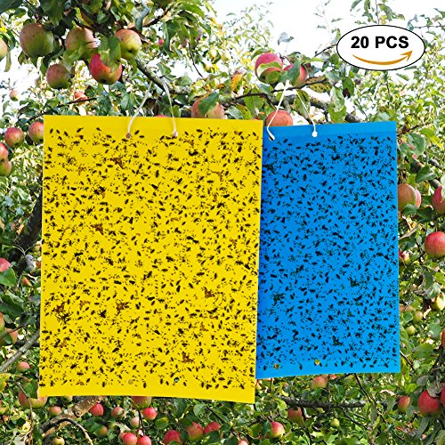 کاهش مصرف سموم با استفاده از کارت های زرد و آبی - فوت و فن های باغبانی