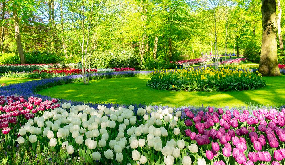 راهنمای کاشت گل های بهاری - فوت و فن های باغبانی