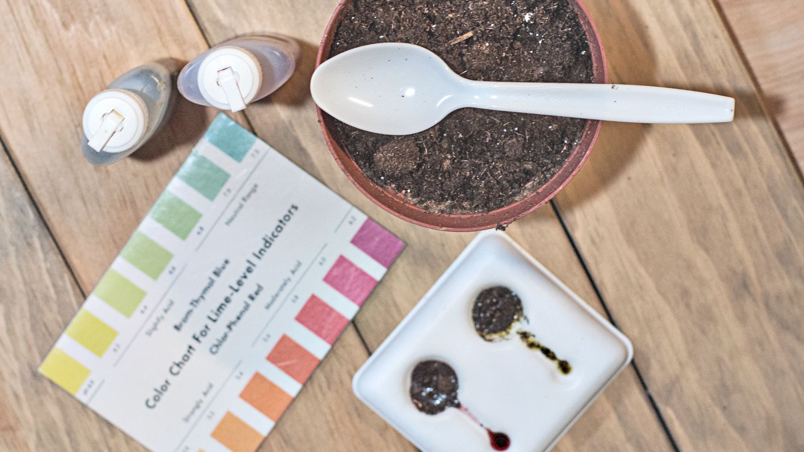 چگونه به روش خانگی پی اچ خاک را اندازه بگیریم؟ - فوت و فن های باغبانی