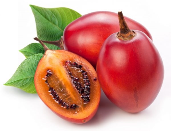 نحوه ی کاشت تاماریلو از طریق بذر - فوت و فن های باغبانی