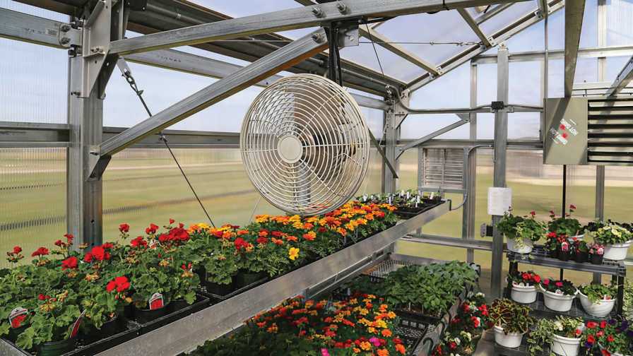خنک نگه داشتن گلخانه در تابستان به روش تهویه طبیعی