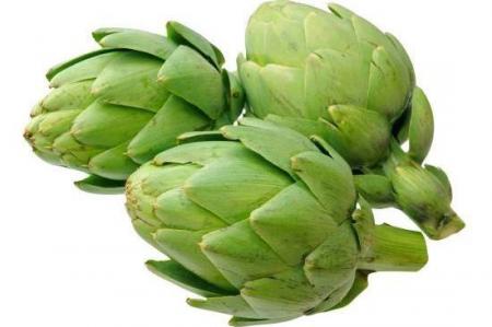 کاشت و پرورش آرتیشو(کنگر فرنگی)