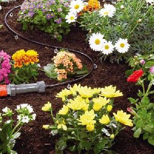 استفاده از آبیاری قطره ای برای گیاهان با...