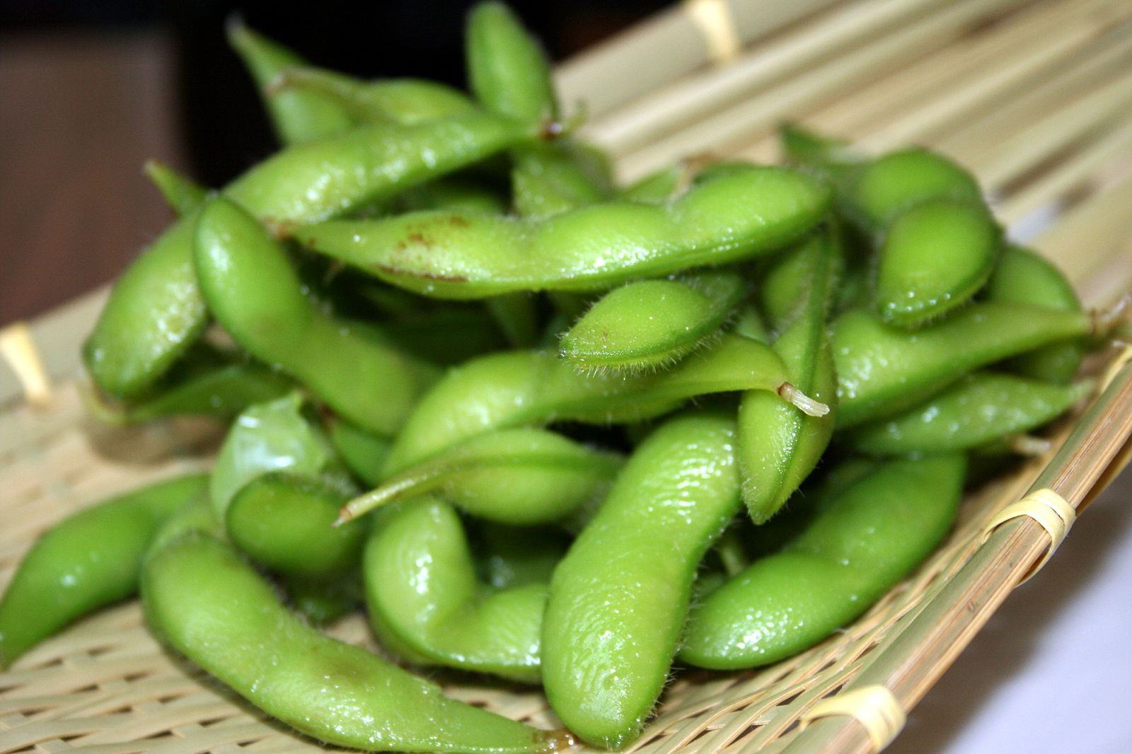 پرورش سویا از طریق بذر