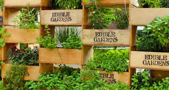 چند ایده برای باغبانی عمودی 