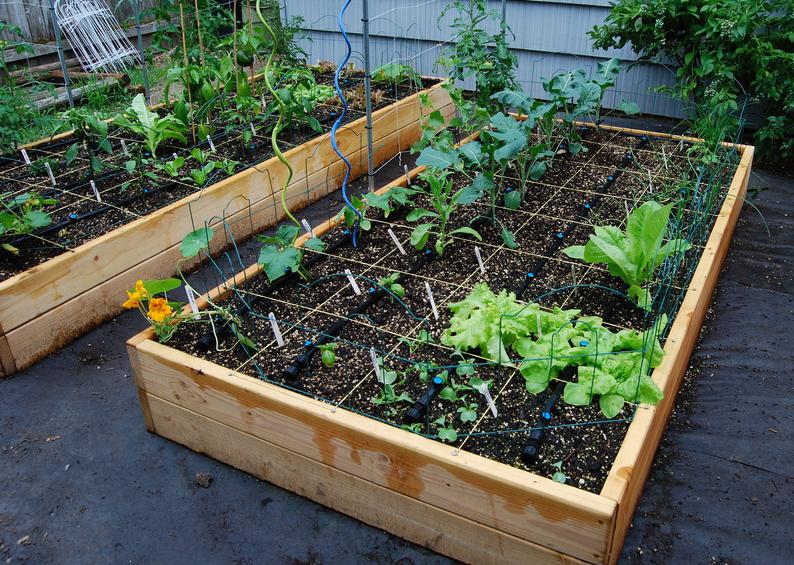 نحوه ی ساخت باغ مرتفع سبزیجات