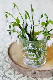 گل برف  گیاهی مقاوم به سرما