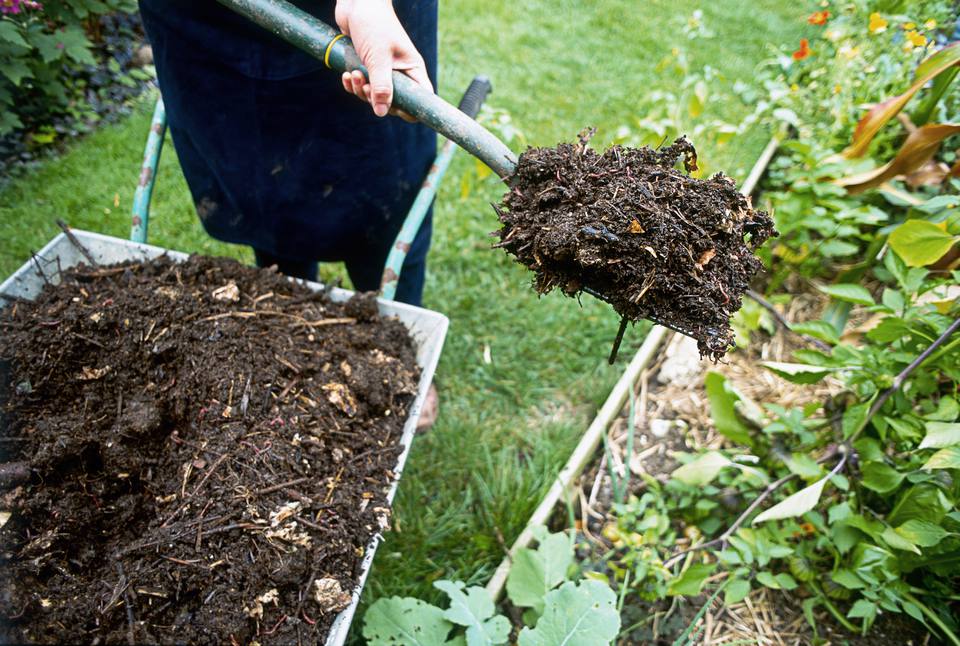 چه زمانی از مالچ زمستانه برای گیاهان استفاده کنیم؟