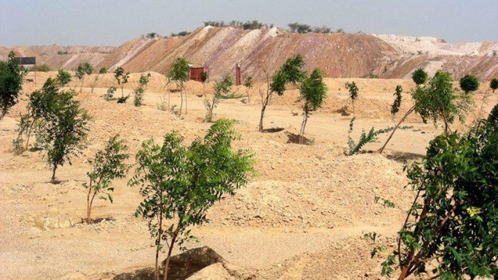 کاشت درختان در مناطق خشک با فن آوری جدید