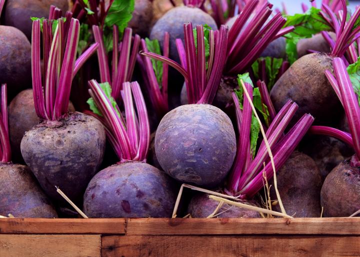 نحوه ی ذخیره ی محصولات زراعی غده ای - فو...