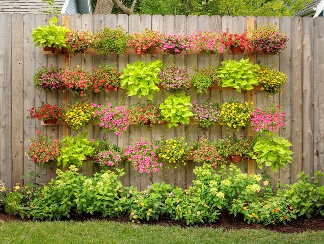 اجرای دیوار عمودی گلدانی 