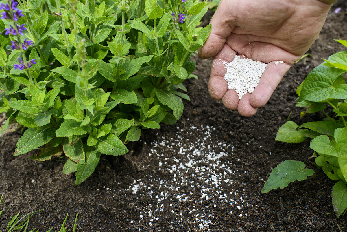 تولید محصولات دوستدار محیط با افزودن آهک به خاک
