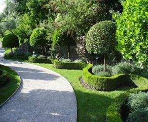 در طراحی فضای سبز به چه نکاتی باید توجه کرد؟ - فوت و فن های باغبانی