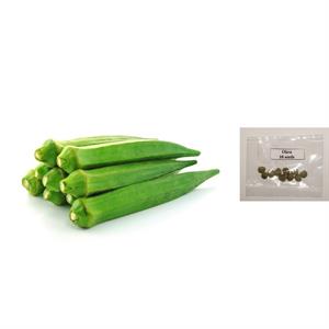 نحوه ی کاشت بذر بامیه در گلدان - فوت و فن های باغبانی