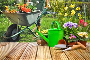 نکات کلیدی گلکاری در گلدان - فوت و فن های باغبانی