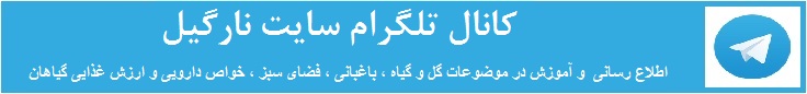 تلگرام نارگیل