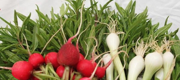 سبزی جات برگی