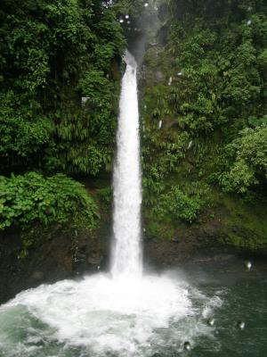 nature