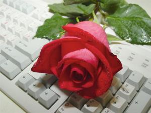 تصویر روز نارگیل