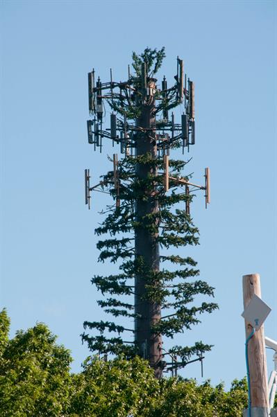 Preposterosus tower