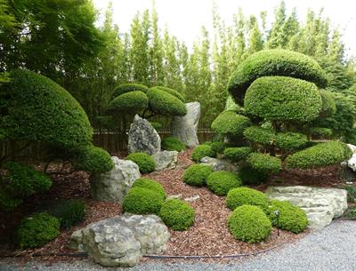 Japanese graden