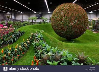 گل