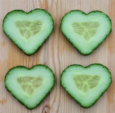 Cucumis sativus