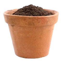 خاک مورد نیاز  زنبق دورنگ