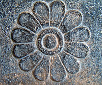 سلمان گنجی
