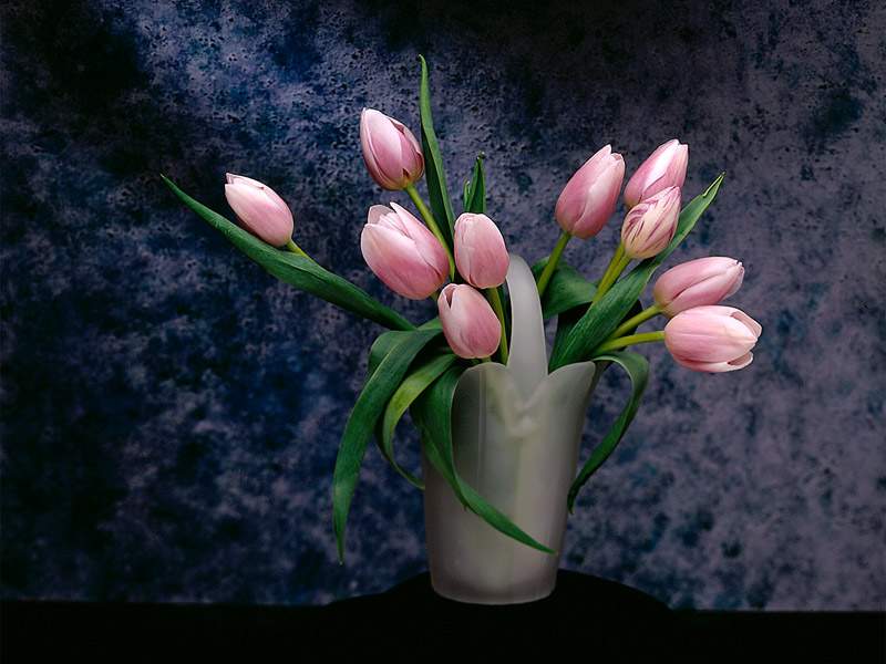 مؤید صباحی مقدم