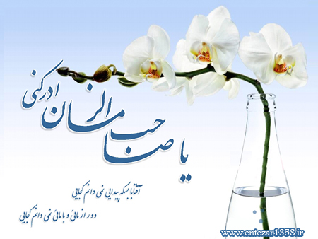 تینا زیوری