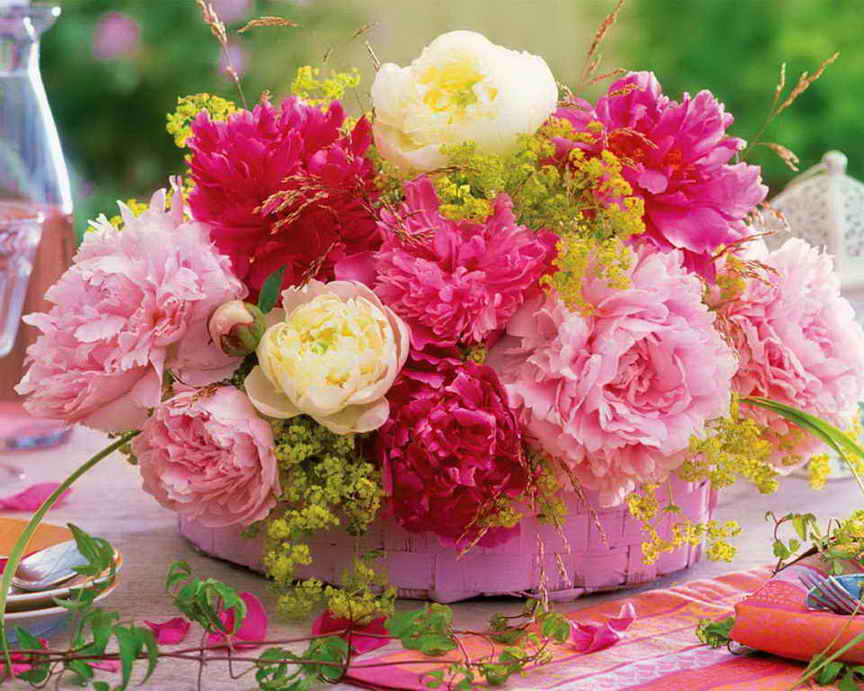 جواد بنی حسن